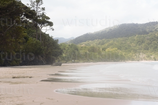 Beach View