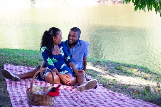 Couple at Picnic