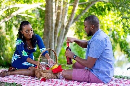 Couple at Picnic with Basket