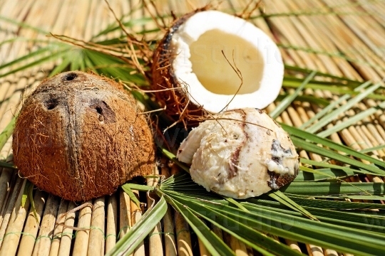 Dry Coconut cut in half