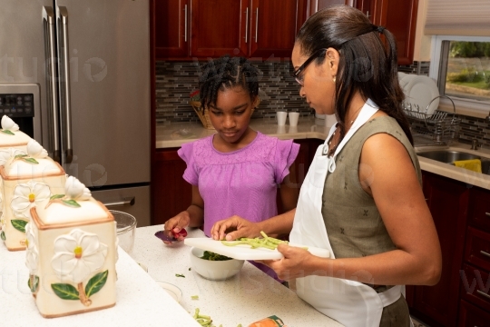 Mother and Daughter prepping in the Kitchen III