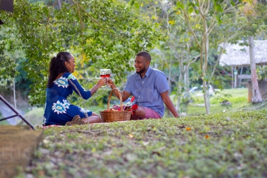 Picnic Couple Toasting